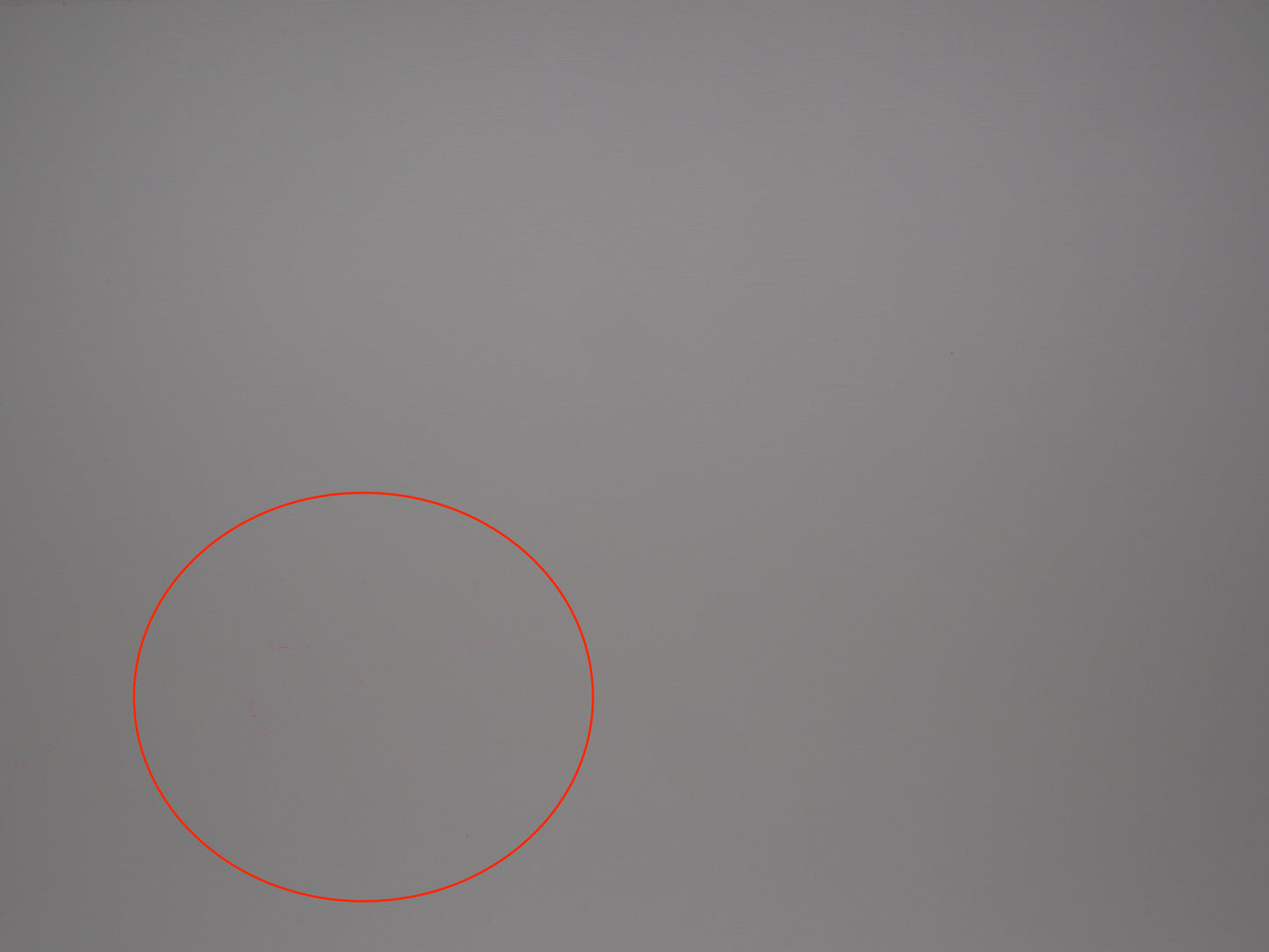 Panasonic DC-GH5 ミラーレス一眼 パナソニック マイクロフォーサーズマウント