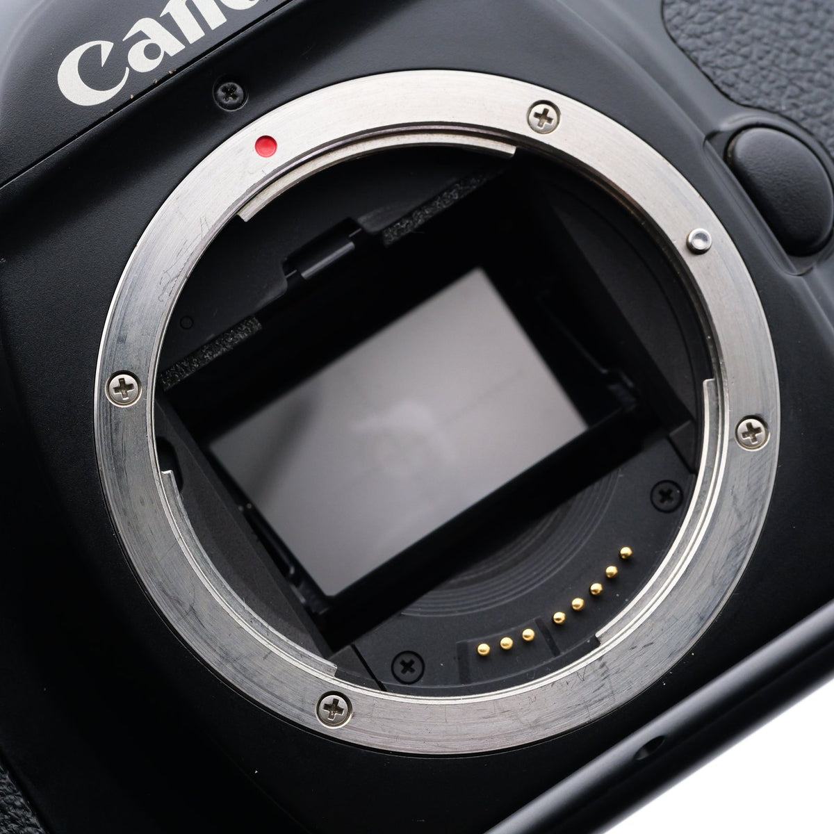 Canon EOS-1 フィルムカメラ キヤノン EFマウント