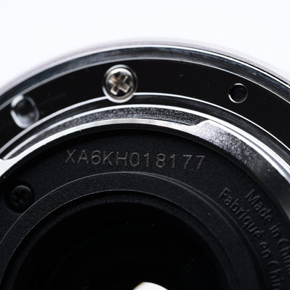 Panasonic 12-32mm F3.5-5.6 シルバー レンズ パナソニック マイクロフォーサーズ