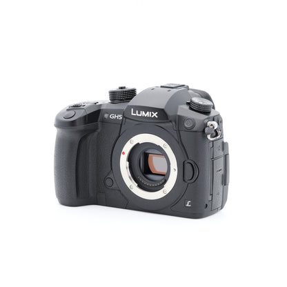 Panasonic DC-GH5 ミラーレス一眼 パナソニック マイクロフォーサーズマウント