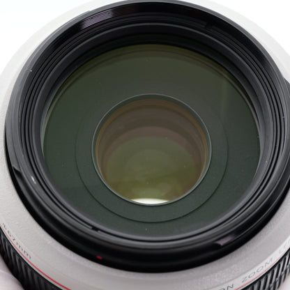 訳有品 Canon 70-300mm F4-5.6 L IS USM レンズ キヤノン EFマウント