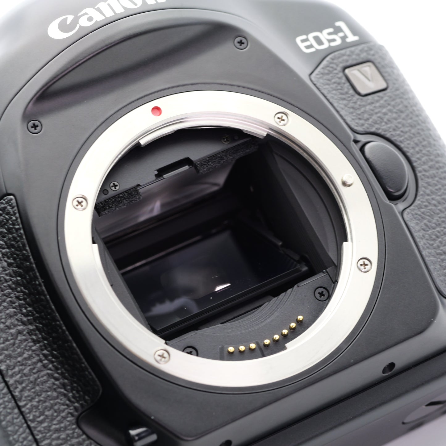 Canon EOS-1V フィルムカメラ キヤノン EFマウント