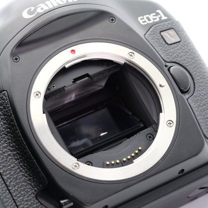 Canon EOS-1V フィルムカメラ キヤノン EFマウント