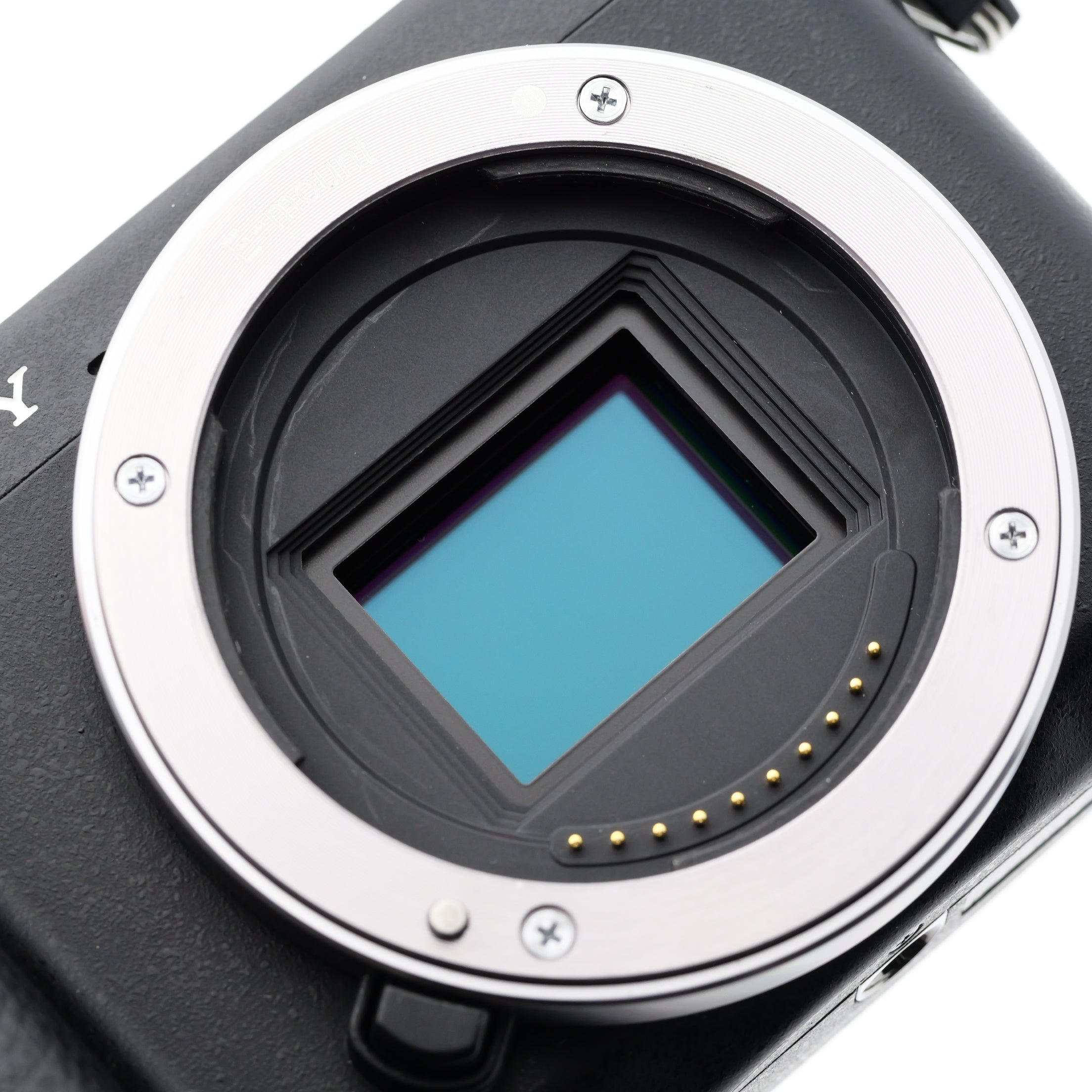 SONY NEX-6 ミラーレス一眼 ソニー Eマウント – 東京写真機