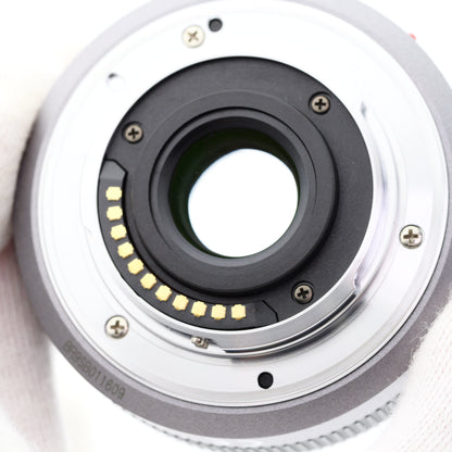 Panasonic LUMIX G 20mm F1.7 レンズ パナソニック マイクロフォーサーズマウント