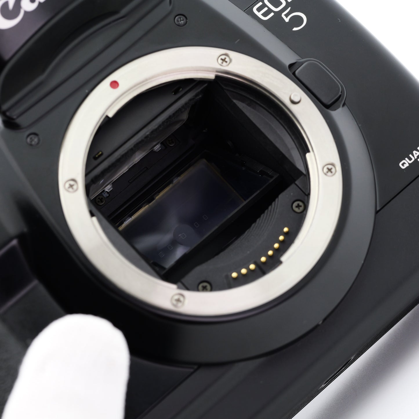 Canon EOS 5 QD Quartz Date フィルムカメラ キヤノン EFマウント