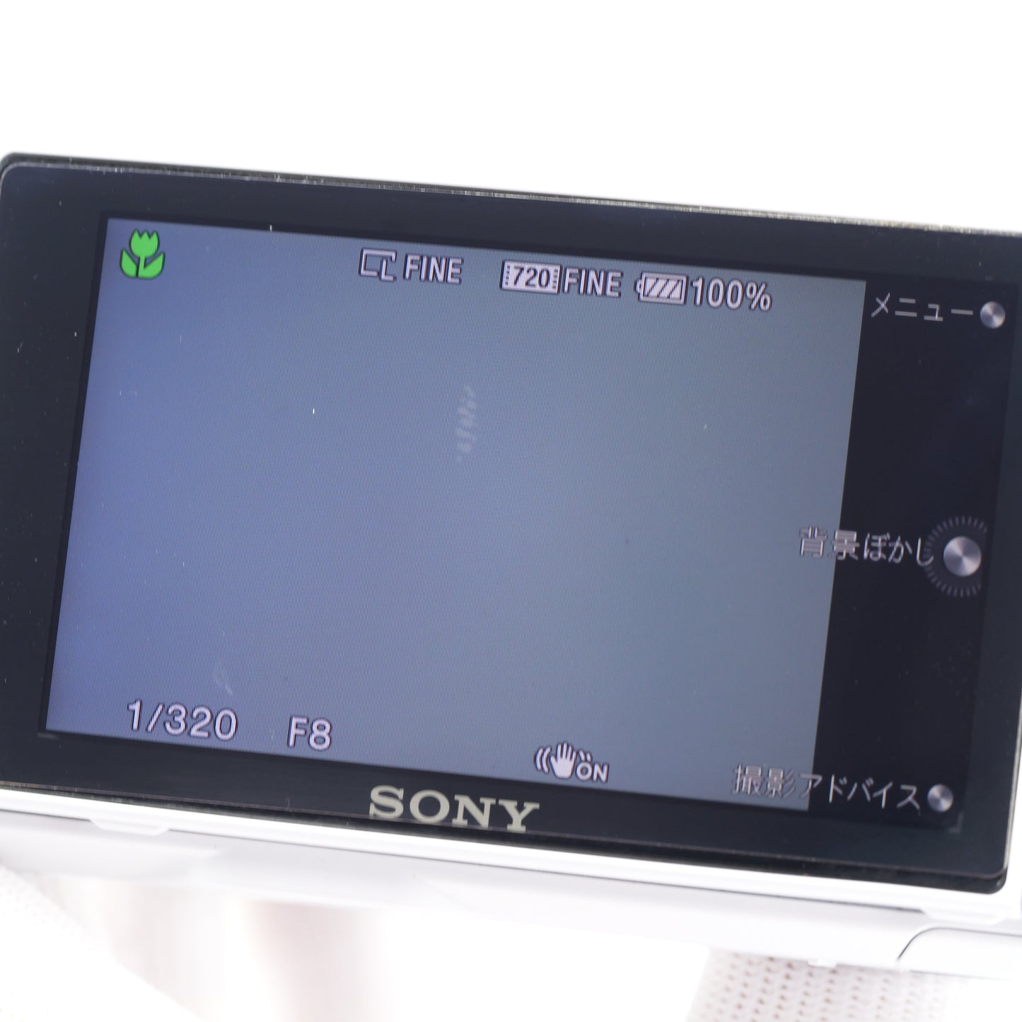 SONY NEX-3 E 18-55mm F3.5-5.6 ミラーレス一眼 ソニー Eマウント