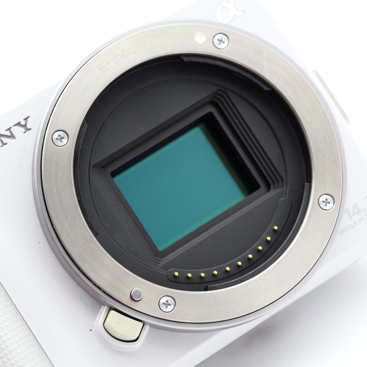 SONY NEX-3 E 18-55mm F3.5-5.6 ミラーレス一眼 ソニー Eマウント