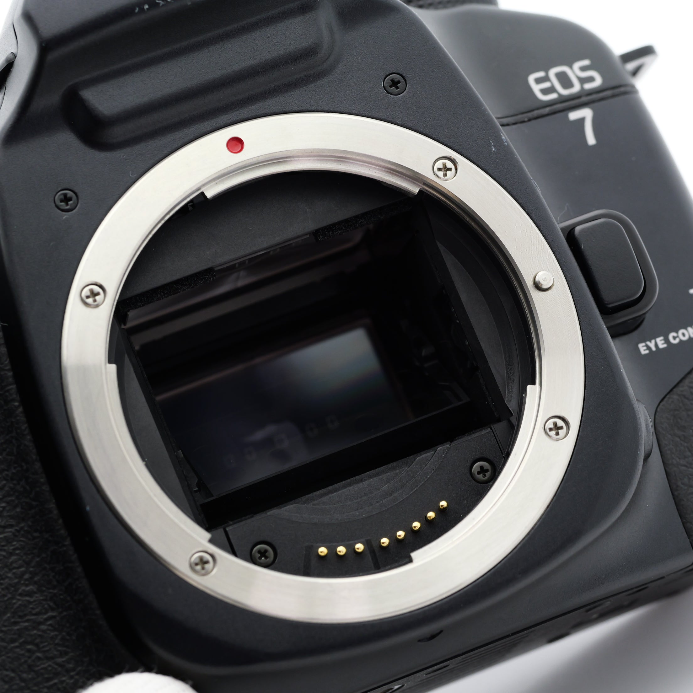 Canon EOS 7 フィルムカメラ キヤノン EFマウント – 東京写真機