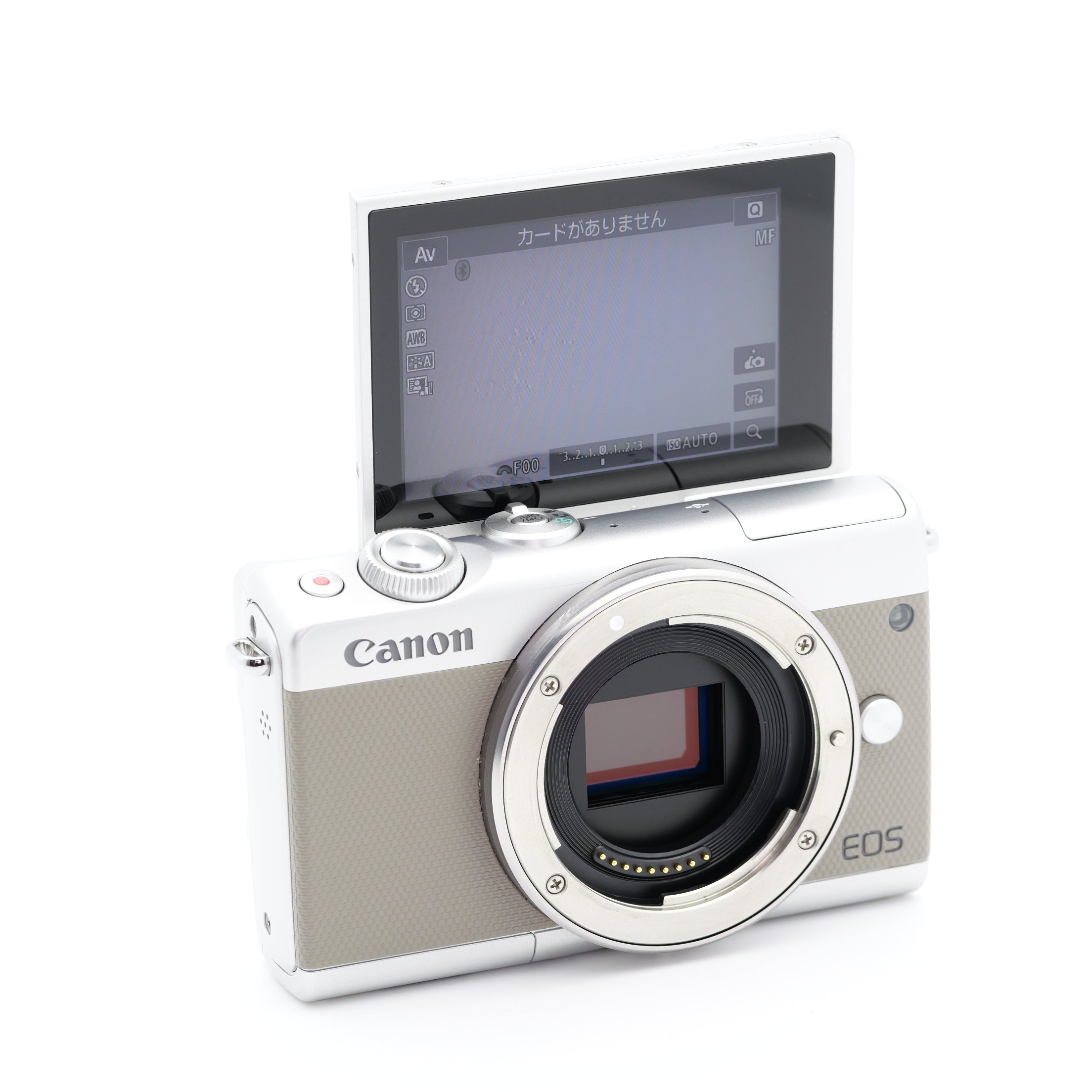 Canon EOS M100 ミラーレス一眼 キヤノン EF-Mマウント – 東京写真機