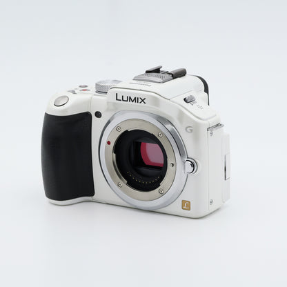 Panasonic DMC-G5 ミラーレス一眼 パナソニック マイクロフォーサーズマウント