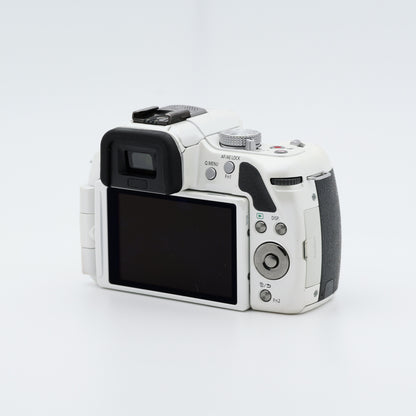 Panasonic DMC-G5 ミラーレス一眼 パナソニック マイクロフォーサーズマウント