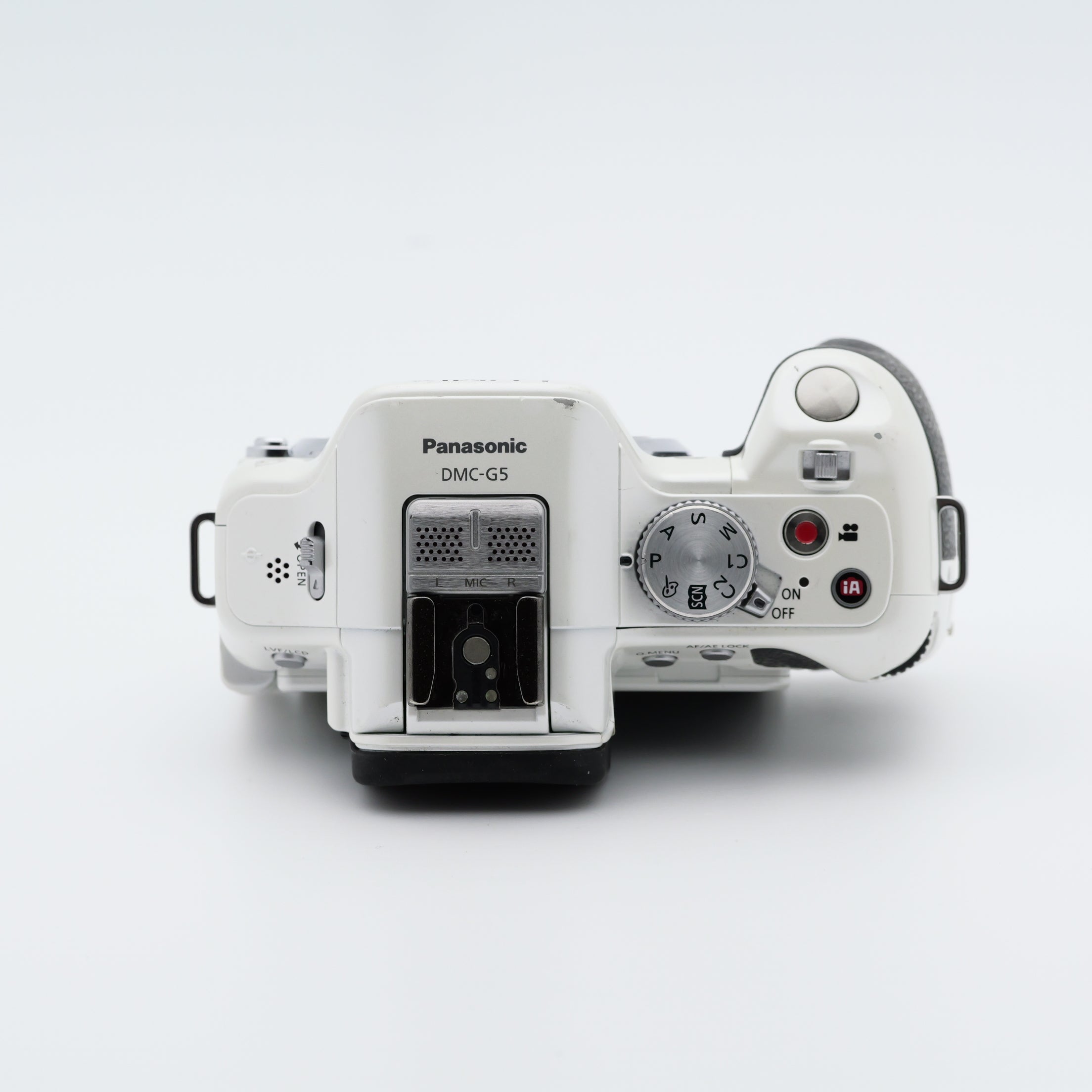 Panasonic DMC-G5 ミラーレス一眼 パナソニック マイクロフォーサーズ