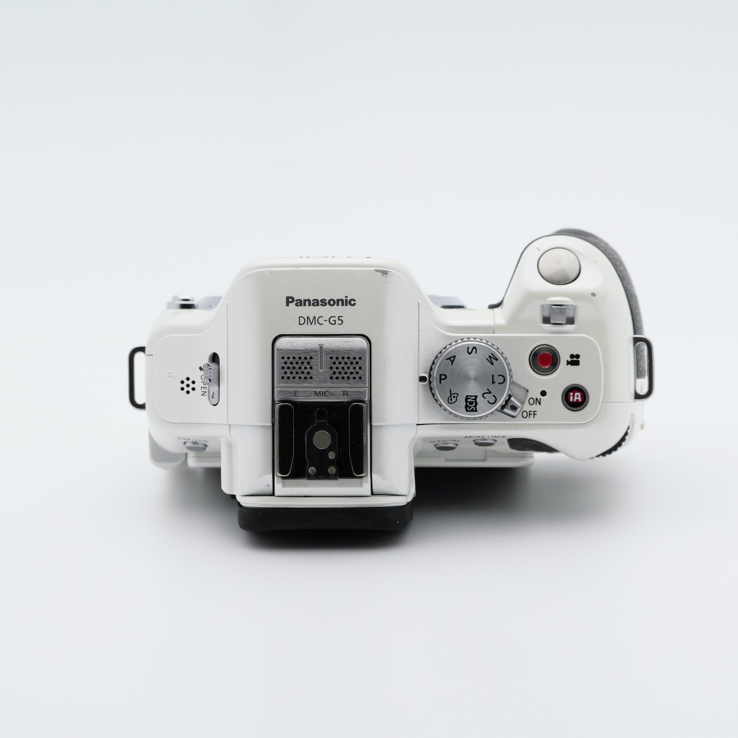 Panasonic DMC-G5 ミラーレス一眼 パナソニック マイクロフォーサーズマウント