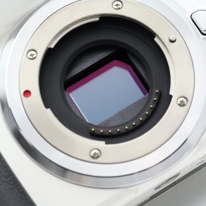 Panasonic DMC-G5 ミラーレス一眼 パナソニック マイクロフォーサーズマウント