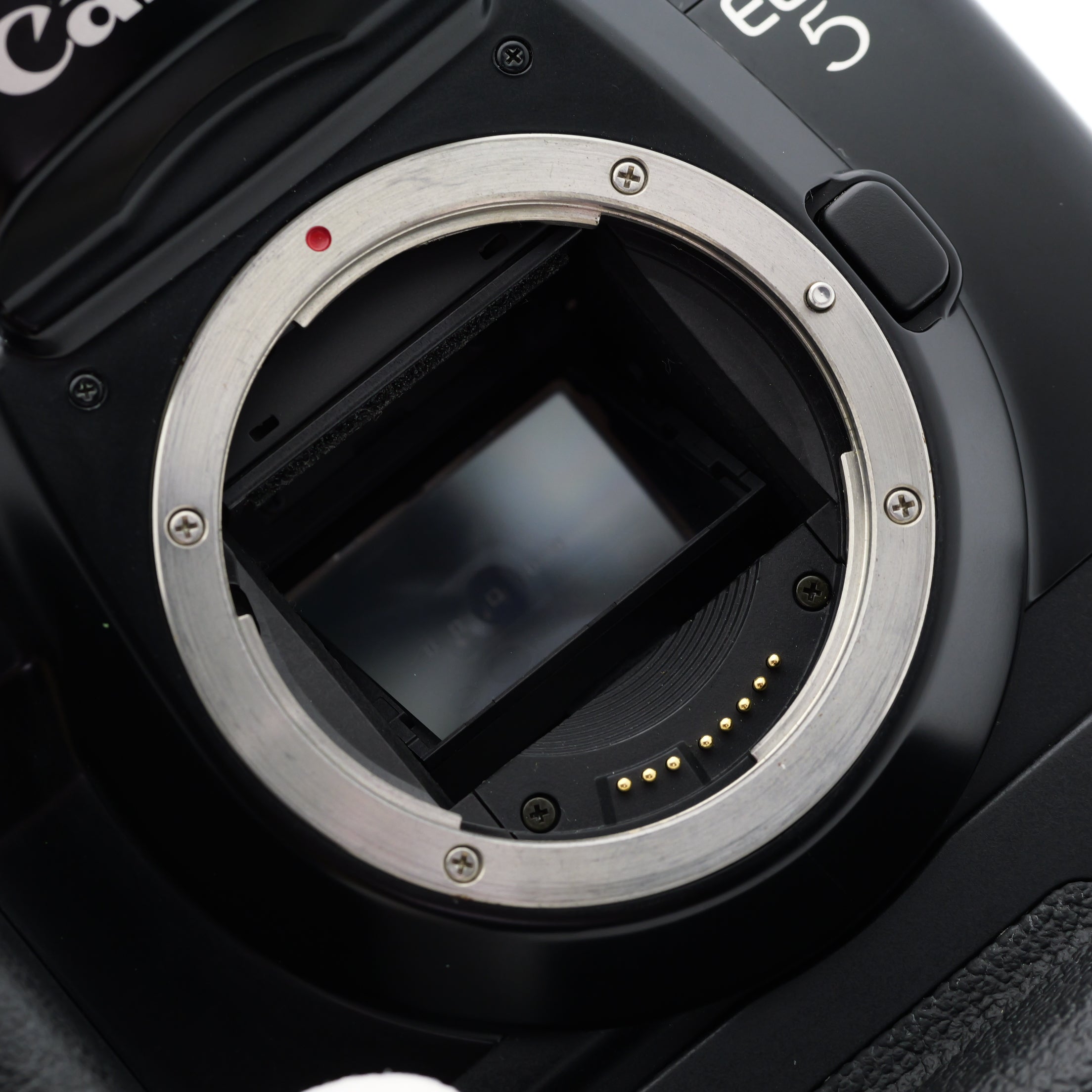 Canon EOS 5 QD Quartz Date VG-10 フィルムカメラ キヤノン EF