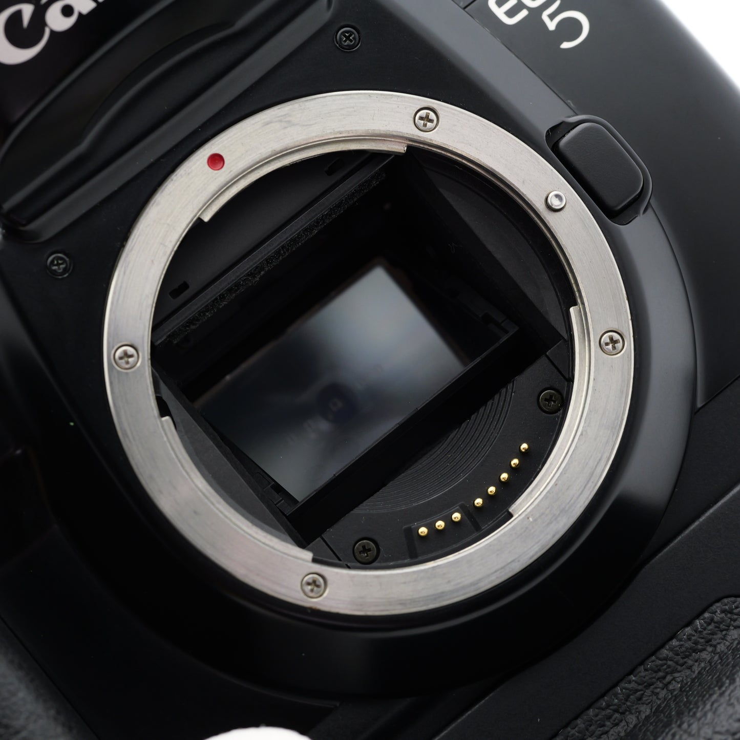 Canon EOS 5 QD Quartz Date VG-10 フィルムカメラ キヤノン EFマウント