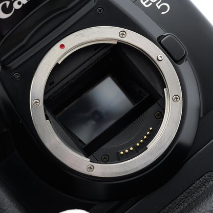 Canon EOS 5 QD Quartz Date VG-10 フィルムカメラ キヤノン EFマウント