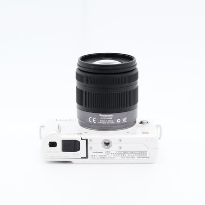 Panasonic DMC-GF2 14-42mm F3.5-5.6 ミラーレス一眼 パナソニック マイクロフォーサーズマウント