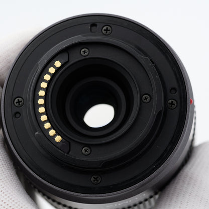 Panasonic DMC-GF2 14-42mm F3.5-5.6 ミラーレス一眼 パナソニック マイクロフォーサーズマウント