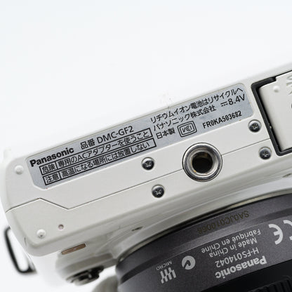 Panasonic DMC-GF2 14-42mm F3.5-5.6 ミラーレス一眼 パナソニック マイクロフォーサーズマウント