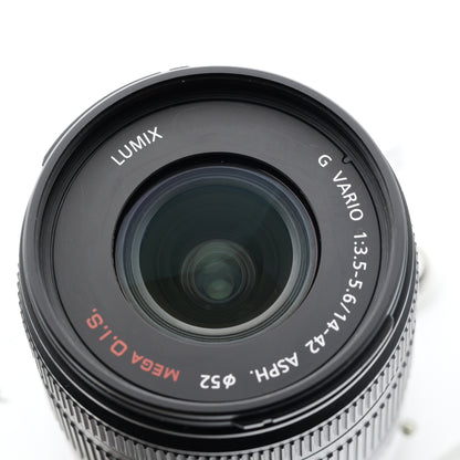 Panasonic DMC-GF2 14-42mm F3.5-5.6 ミラーレス一眼 パナソニック マイクロフォーサーズマウント