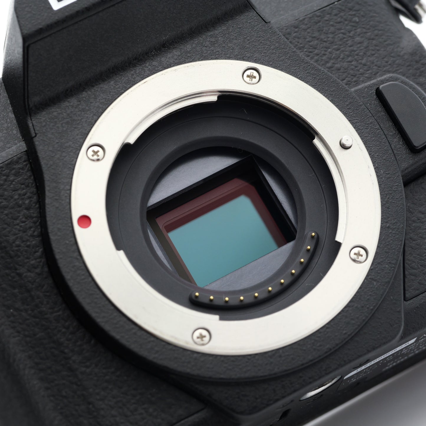 Panasonic DMC-G8 ミラーレス一眼 パナソニック マイクロフォーサーズマウント