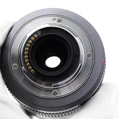 訳有品 Panasonic 45-200mm F4-5.6 H-FS045200 レンズ パナソニック マイクロフォーサーズマウント
