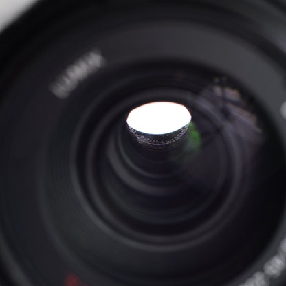 訳有品 Panasonic 45-200mm F4-5.6 H-FS045200 レンズ パナソニック マイクロフォーサーズマウント