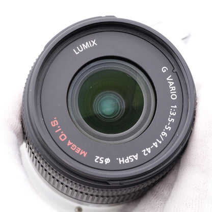 Panasonic DMC-GF2 14-42mm F3.5-5.6 ミラーレス一眼 パナソニック マイクロフォーサーズマウント