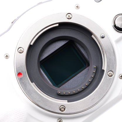 Panasonic DMC-GF2 14-42mm F3.5-5.6 ミラーレス一眼 パナソニック マイクロフォーサーズマウント
