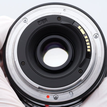 Tokina AT-X 124 PRO DX II 12-24mm F4 レンズ キヤノン EFマウント
