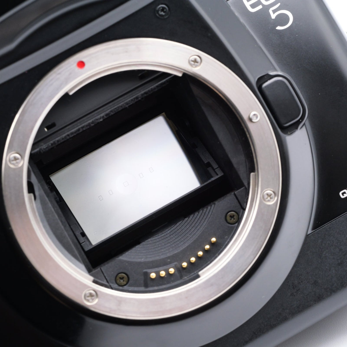 Canon EOS 5 QD Quartz Date フィルムカメラ キヤノン EFマウント