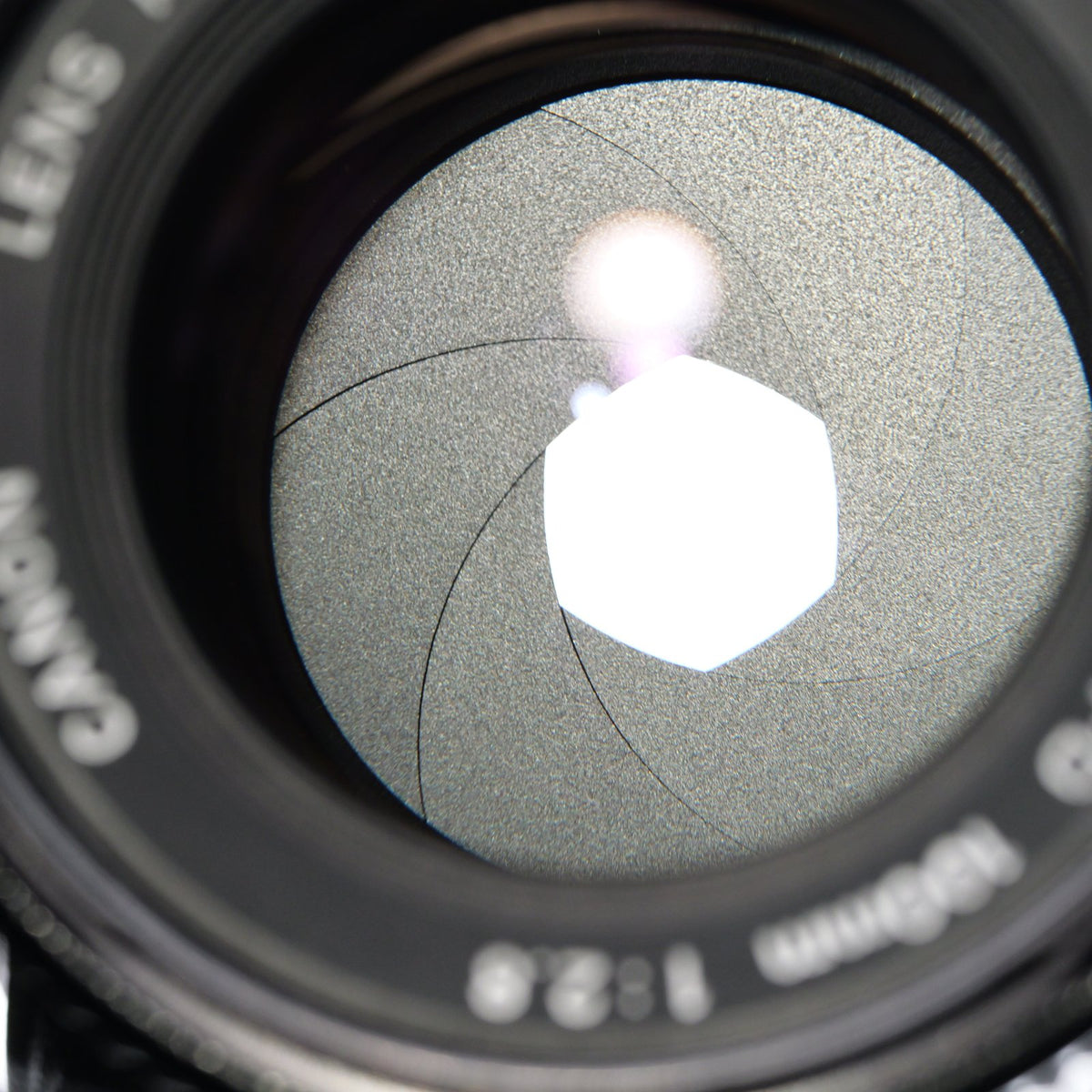 Canon New FD 100mm F2.8 レンズ キヤノン FDマウント