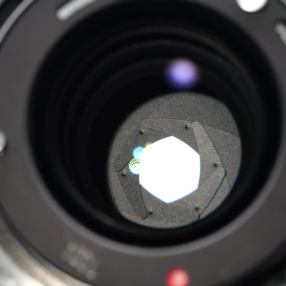 Canon New FD 100mm F2.8 レンズ キヤノン FDマウント