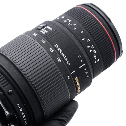 SIGMA APO 70-300mm F4-5.6 DG MACRO レンズ ペンタックス Kマウント