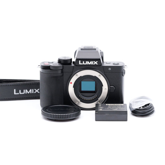 Panasonic DC-G100 ミラーレス一眼 パナソニック マイクロフォーサーズマウント