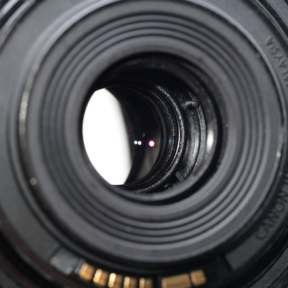 Canon EF-S 55-250mm F4-5.6 IS STM レンズ キヤノン EFマウント