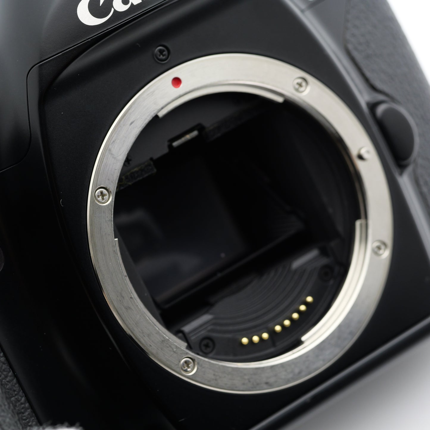 Canon EOS-1N フィルムカメラ キヤノン EFマウント