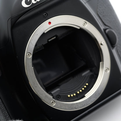 Canon EOS-1N フィルムカメラ キヤノン EFマウント