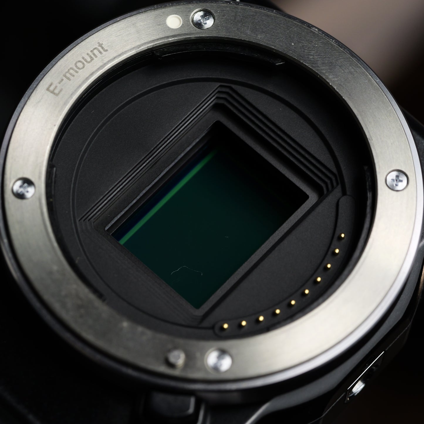 SONY NEX-5 E 16mm F2.8 ミラーレス一眼 ソニー Eマウント