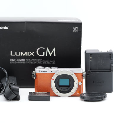 Panasonic LUMIX DMC-GM1 ミラーレス一眼 パナソニック マイクロフォーサーズマウント