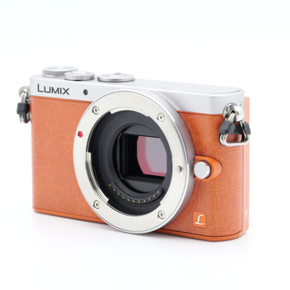 Panasonic LUMIX DMC-GM1 ミラーレス一眼 パナソニック マイクロフォーサーズマウント