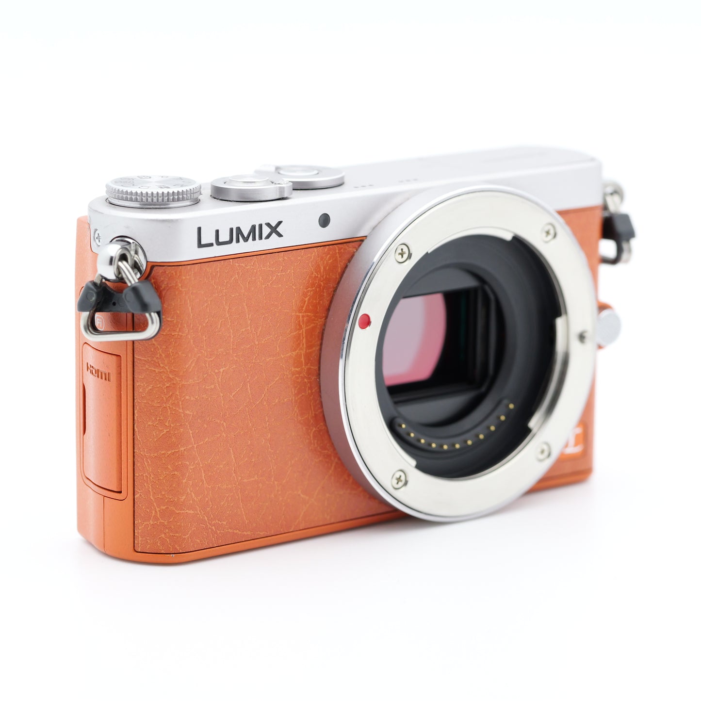 Panasonic LUMIX DMC-GM1 ミラーレス一眼 パナソニック マイクロフォーサーズマウント