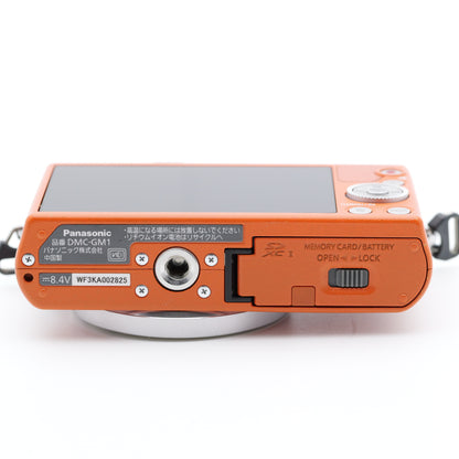 Panasonic LUMIX DMC-GM1 ミラーレス一眼 パナソニック マイクロフォーサーズマウント