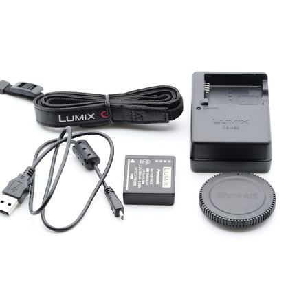 Panasonic LUMIX DMC-GM1 ミラーレス一眼 パナソニック マイクロフォーサーズマウント