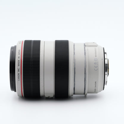 Canon 70-300mm F4-5.6 L IS USM レンズ キヤノン EFマウント