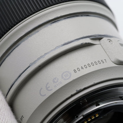 Canon 70-300mm F4-5.6 L IS USM レンズ キヤノン EFマウント