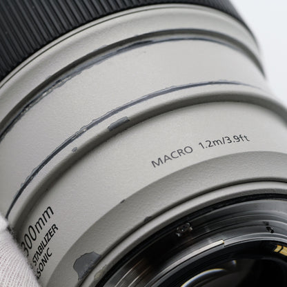 Canon 70-300mm F4-5.6 L IS USM レンズ キヤノン EFマウント