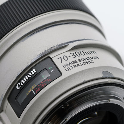 Canon 70-300mm F4-5.6 L IS USM レンズ キヤノン EFマウント
